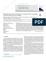 Bioethanol Production From Solanum Lycocarpum Starch