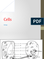 Cells, Viruses and Bacteria