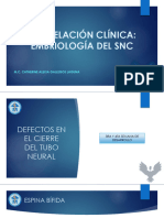 Correlaciones Clínicas Embriología Del SNC