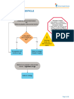 Undescended Testicle Pathway