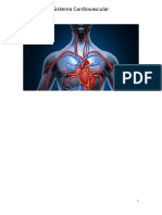 Sistema Cardiovascular