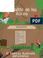 El Gallito de Las Rocas