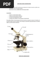 Guía para Usar El Microscopio