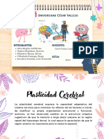 Organizador Visual - Plasticidad Cerebral - Neuropsicologia