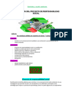 Informe Final Sobre La Concientizacion de Residuos Solidos