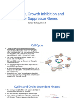 Cancer Biology 