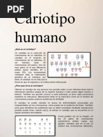 Cariotipo Humano