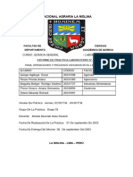 Quimica Informe 01