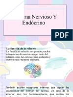 Introducción S. Nervioso y S. Endócrino