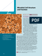 Chapter 2 Microbio