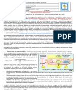 Taller #1 RESPIRACIÓN EN LOS SERES VIVOS