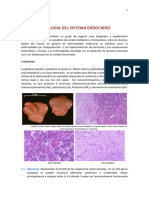 Patologia Endocrina