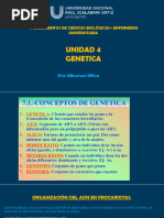 Clase 4 PDF