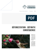 Déforestation: Définition, Causes Et Conséquences - Conservation Nature - 1671113018112