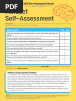 Mindset Self-Assessment Questionnaire