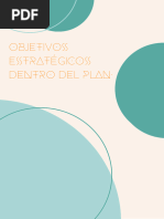 Objetivos Estratégicos Dentro Del Plan.