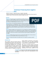 Metallo-Beta-Lactamase Producing Gram-Negative Bacterial Isolates