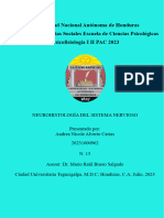 Guia 2 NEUROHISTOLOGÍA DEL SISTEMA NERVIOS Psicofisiologia