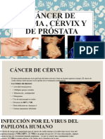 Cáncer de Cérvix, Mama y PRÓSTATA