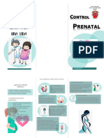 Control Prenatal