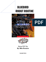 Bluebird Workout Routine