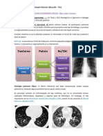 Apunte Imagenologia PPD - UdeC