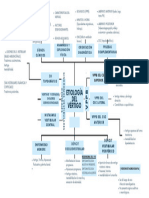 Etiología Del Vértigo Mapa Mental