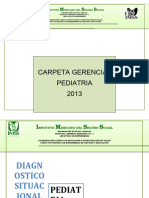 1carpeta Gerencial Pediatria Miny