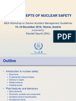 Nuclear Safety Basic