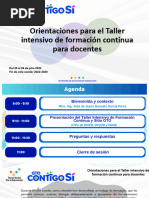 Orientaciones Estatales. Taller Intensivo de Formación Continua. Julio