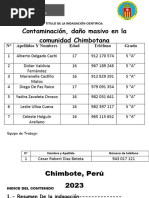 Informe de Indagacion Cyt