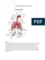 Respiratory System - Anatomy and Physiology