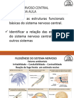 Fisiologia Do Sistema Nervoso