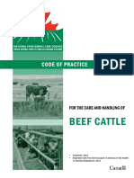 Beef Code of Practice