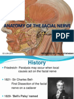 Anatomy of Facial Nerve