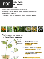 03c Plant Cells 2023 Handouts