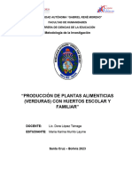 Producción de Plantas Alimenticias (Verduras) Con Huertos Escolar y Familiar