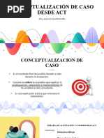 Conceptualización ACT Completo