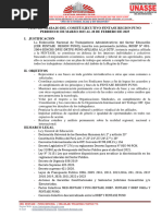 Plan de Trabajo Fentase Puno Periodo 2023 Al 2025