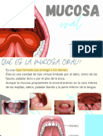 Mucosa Oral