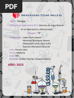 Tarea Laboratorio Grupal