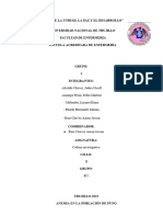 Anemia en La Población de Puno - Problematizacion