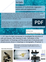 1.1 Introduction To Cells