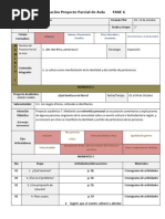 Formato de Planeación de Un Proyecto Parcial de Aula