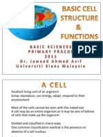 Basic Cell Structure & Function