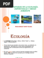 Enfoques de La Ecología