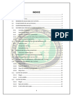 INFORME KC CUTLIVO-euler