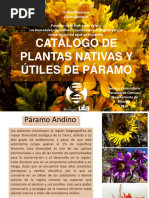 Catálogo Plantas Del Páramo