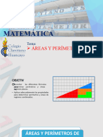 16 Areas y Perimetros 5to