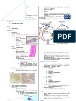 Parasitology-Lec 9 Cestodes